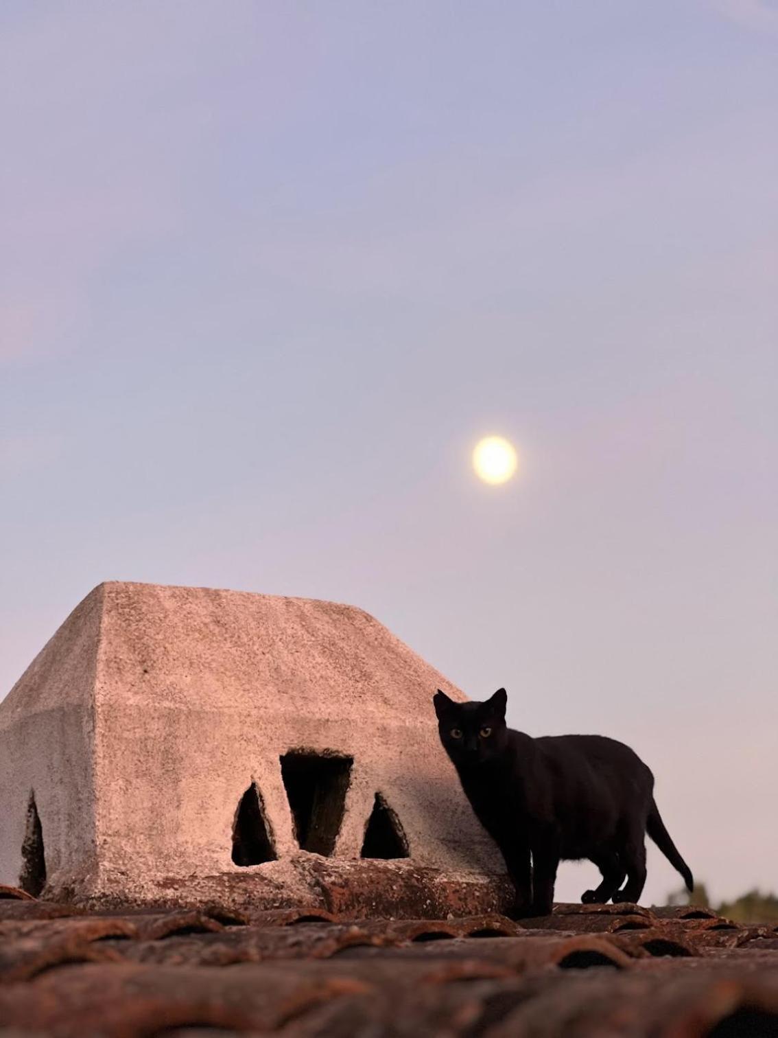 Casa Dos Galegos Villa Marvão Kültér fotó